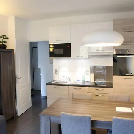 Apartment Le Gruffaz - Hyper Centre, Balcon Sur Canal Annecy